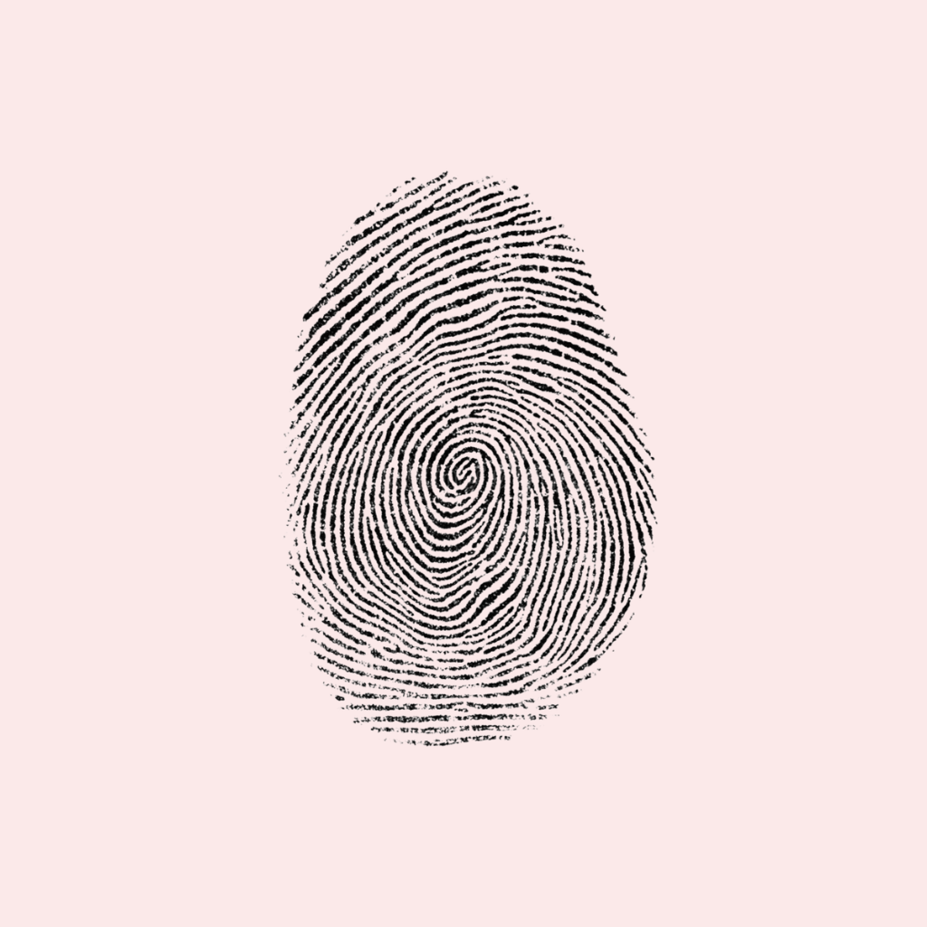 logo et identitée visuelle