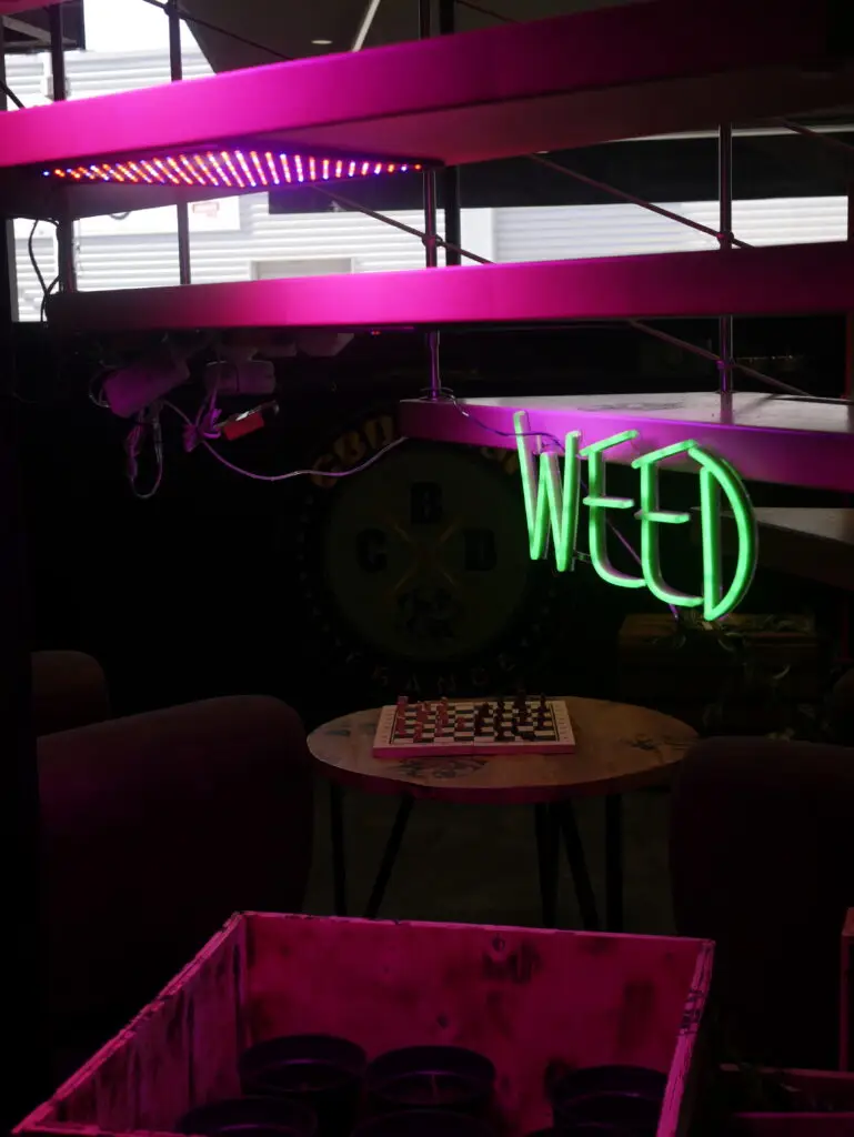 Création de support de communication pour CBD SHOP FRANCE septembre 2025 → novembre 2025 1010149