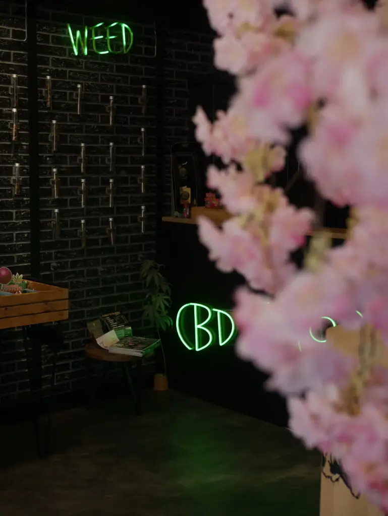 Création de support de communication pour CBD SHOP FRANCE septembre 2025 → novembre 2025 1010152