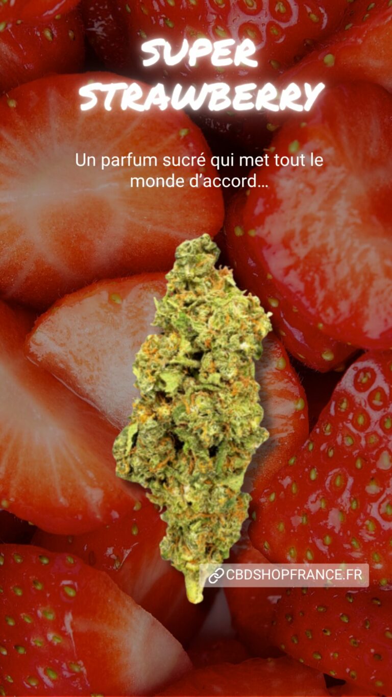 Création de support de communication pour CBD SHOP FRANCE septembre 2025 → novembre 2025 564725639 18159803722384232 7256523288829873028 n