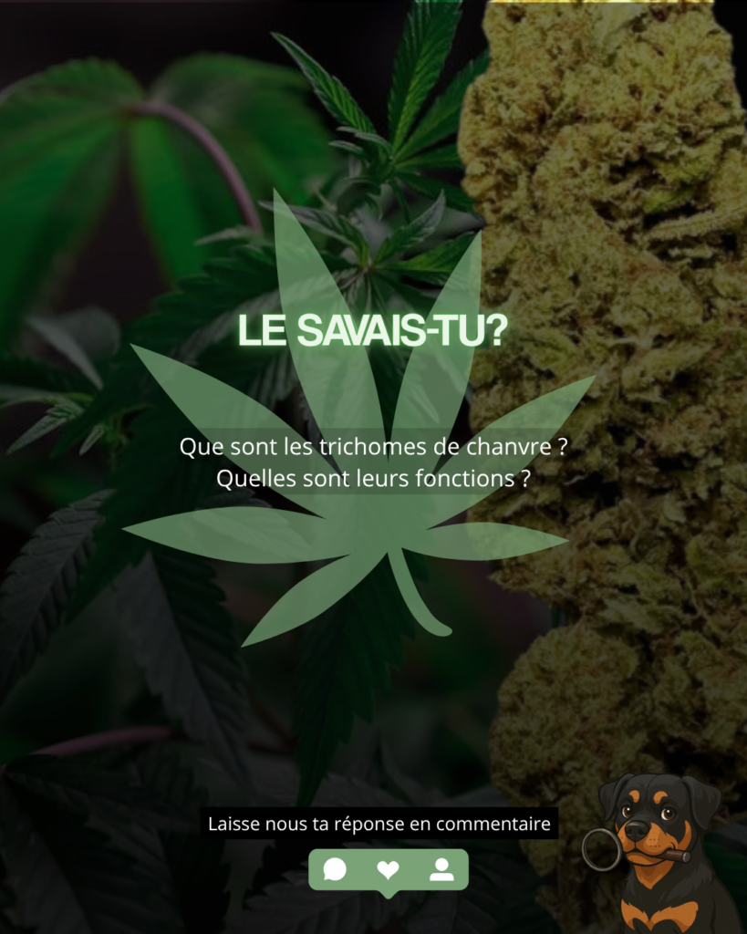 post octobre copie 2
